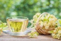 Edible Flowers, Tilia, Linden, Lime, Basswood, American Linden,  American Lime, American lime, European Linden,   European Lime,  European, Caucasian Linden,  Caucasian Lime, Crimean lime 